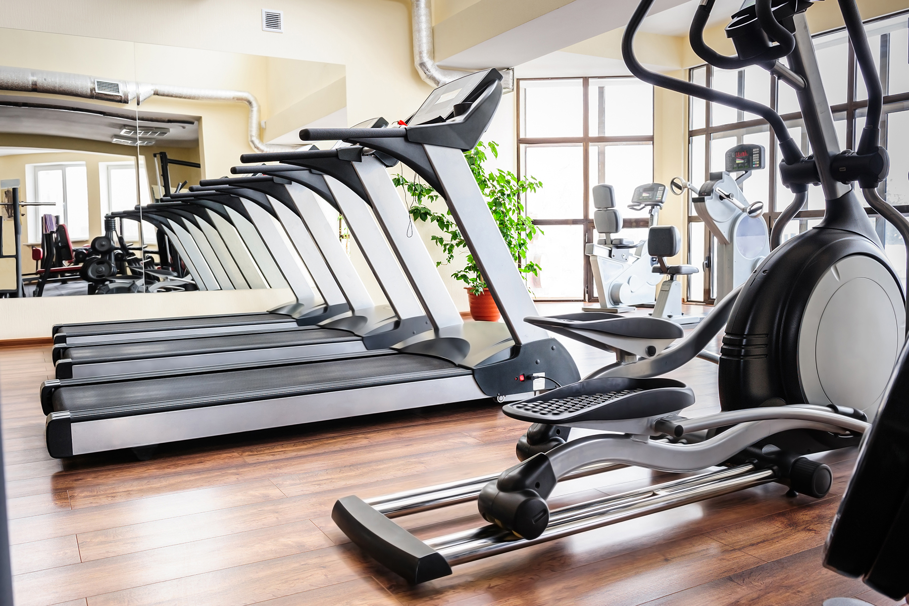 Set of treadmills staying in line in the gym