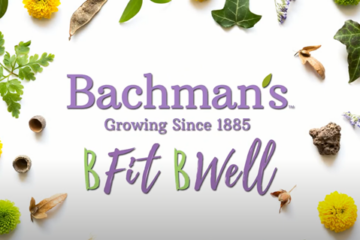 bacmans wellness program