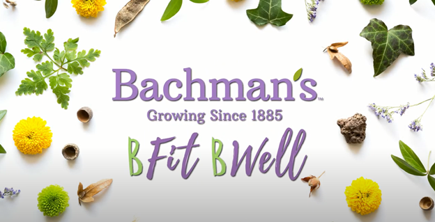 bacmans wellness program