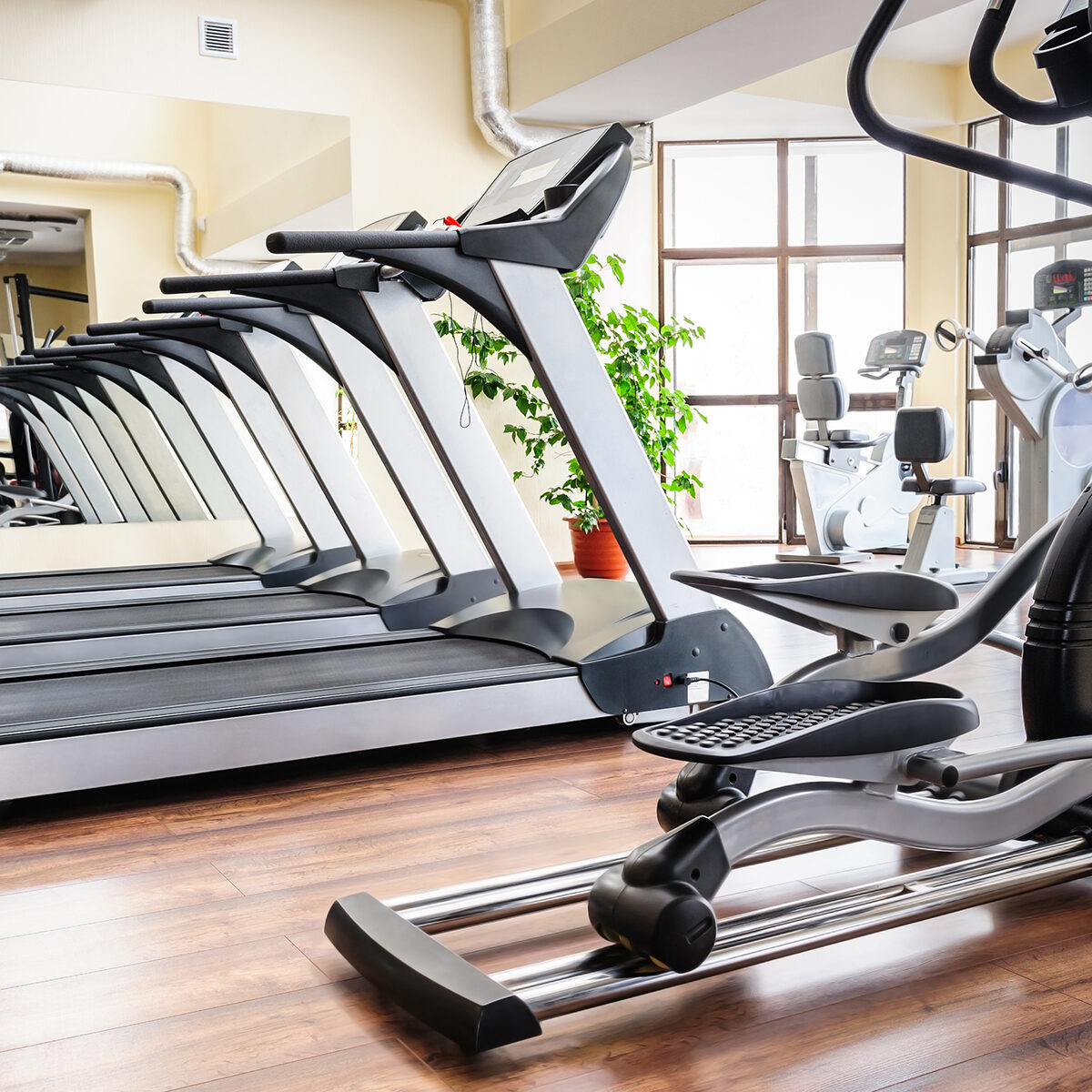 Set of treadmills staying in line in the gym